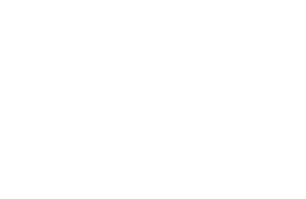 Factum Financial - Infinite Banking